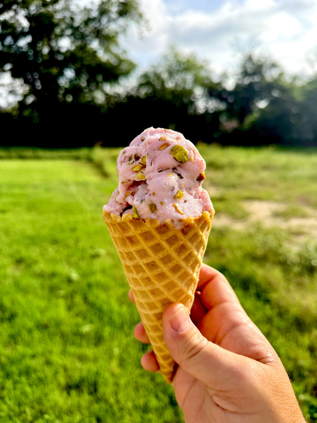 Prickly Pear - Pistachio Ice Cream