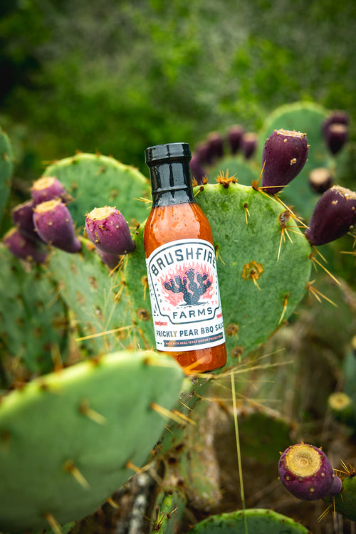 Brushfire Farms Prickly Pear BBQ sauce on a cactus in South Texas with prickly pears