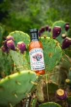 Load image into Gallery viewer, Brushfire Farms Prickly Pear BBQ sauce on a cactus in South Texas with prickly pears