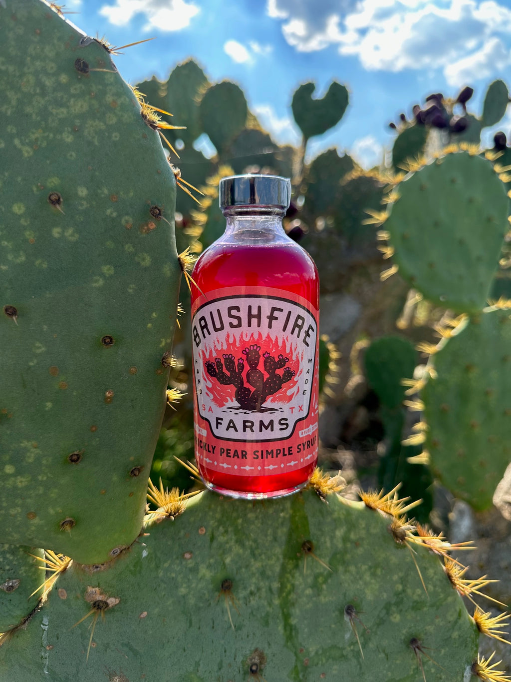 Bottle of Brushfire Farms Prickly Pear Simple Syrup set against a backdrop of prickly pear cactus.